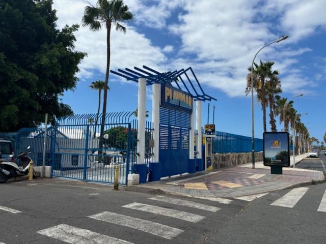 Canarian Elisabeth Home By Lucaproperties Grancanaria 马斯帕洛马斯 外观 照片